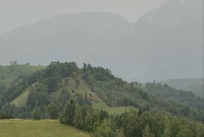 Teren de 15800 mp, în Poiana Mărului - 3