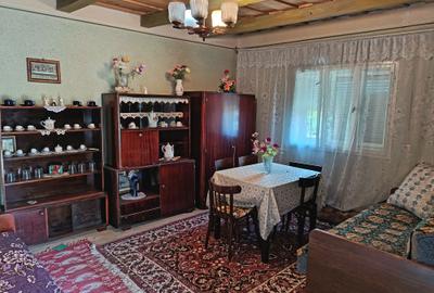 Casă cu 4 camere în Susag - 4