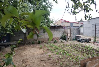 Casa de vanzare in Jilava - 1