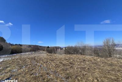 Teren de 4000 mp, în Făget - 9