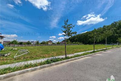 Teren constructii in proximitatea Padurii Corbeanca - 1