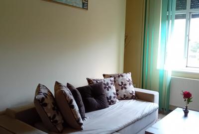 Apartament cu 3 camere decomandat în Ferdinand - 8