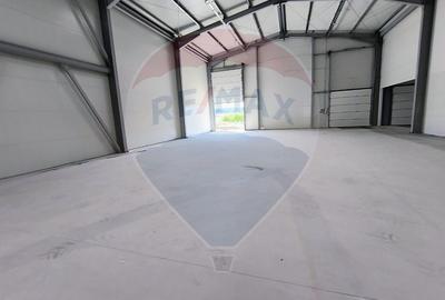 Spațiu industrial, de 599 mp, în Ștefăneștii de Jos - 6