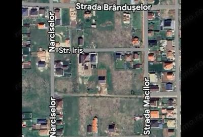 Teren de 800 mp, în Sânandrei