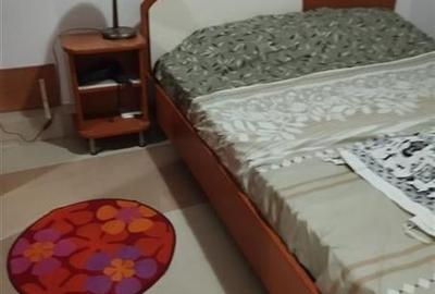 Vila in Otopeni aproape de DN1, aproape de viitorul metrou Vila in Otopeni aproape de DN1, aproape de viitorul metrou - 16