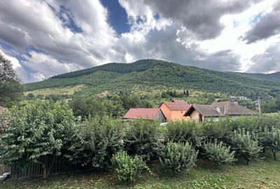 Casă cu 7 camere cu Canalizare în Gura Râului - 9