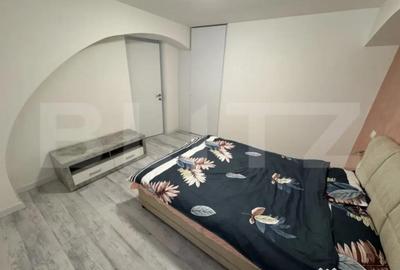 Apartament cu 2 camere semidecomandat, mobilat în George Enescu - 4