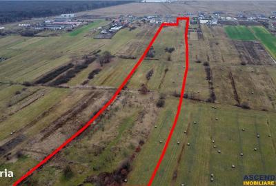 Spațiu comercial, în Jabenița - 5