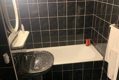 Inchiriez apartament cu 2 camere in Deva, Dorobanti, et. 1 - 16