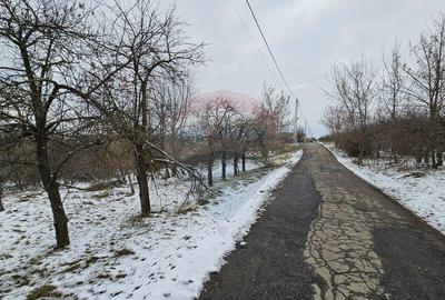 Teren de 10000 mp, în Rădășeni - 5
