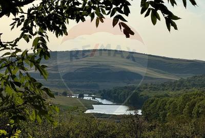 Teren cu parau | 50,000 mp | zona Caianu-Vama | la lizi... - 4