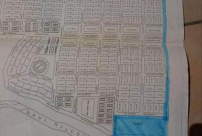 Casă cu 4 camere în Letca Nouă - 1