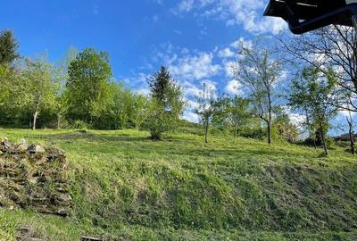 Teren de 1100 mp, în Văliug