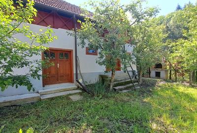 CASA SI LIVADA/ZONA DE DEALURI IMPADURITE/VALEA SCHEII/MANGA/VOINESTI/DAMBOVITA - 10