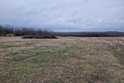 Teren de 4000 mp, în Cârcea