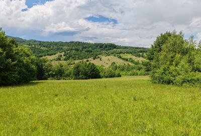2,2 HA TEREN EXTRAVILAN FANEATA, Muntii Apuseni, Ciucea - Cluj, la 5 km de E60 - 6