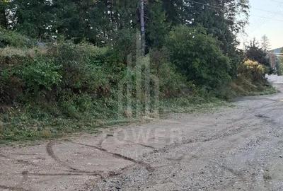 Casă cu 7 camere cu Teren 250 Mp în Paltin