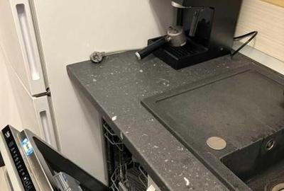 Dimitrie leonida demisol popesti - 2