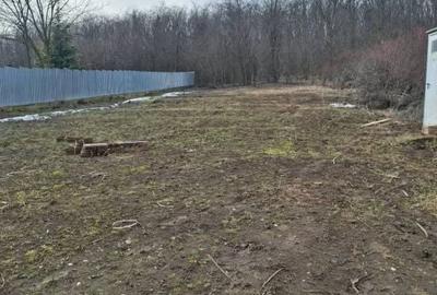 Spațiu comercial, în Beba Veche - 2