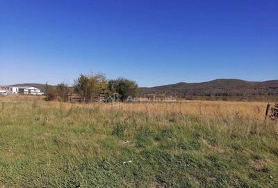 Teren intravilan 3000 mp constructii industriale Teren intravilan 3000 mp constructii industriale - 2