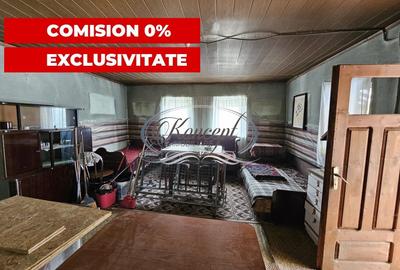 Comision 0% - Casa cu teren generos in Elciu - 11