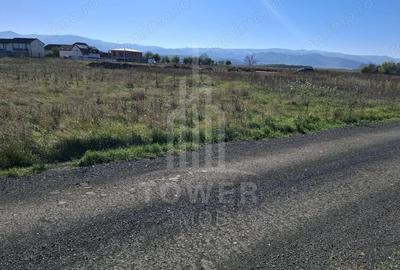 Teren de 2184 mp, în Turnișor - 11