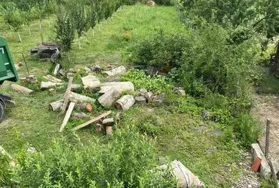 Casa de vanzare parter+etaj in localitatea Beliu - 8