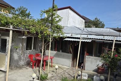 Casă individuală cu 3 camere cu Canalizare în Alexandriei - 24