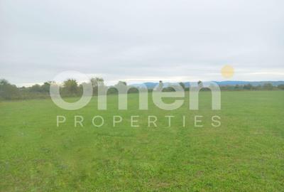 Teren Construcții intravilan de 7631 mp, în Săcălășeni - 3