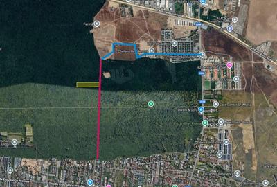 Raritate absoluta: Teren 20.000 mp in inima Padurii Baneasa - 3