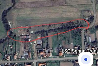 Teren de 5800 mp, în Albina - 3