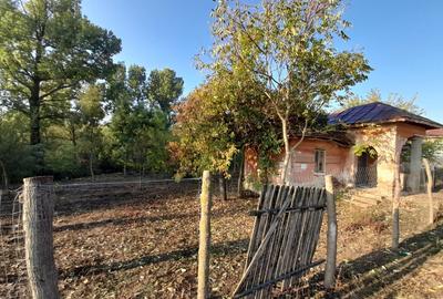 Teren 2900 m2, com. Salcuta, Jud. Dolj - 2