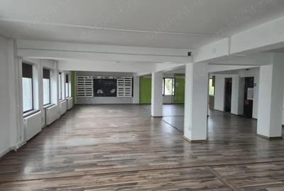 Spa?iu comercial birouri de inchiriat 200 mp, Str. Vasile Lupu 55 - 3