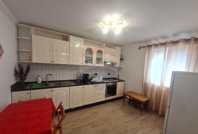 Casa cu 5 camere de vanzare (P+M) in comuna Bolotesti - 10