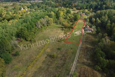 Teren de 2250 mp, în Ioanicești - 10