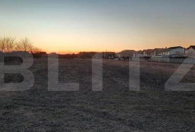 Teren de 13726 mp, în Mehala