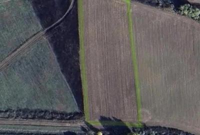 Teren de 5800 mp, în Bucovăț (Remetea Mare)