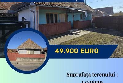 Casă cu Teren 1026 Mp în Brăduț - 1