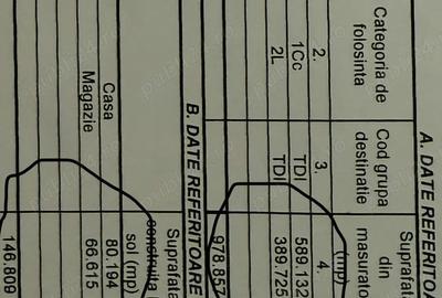 Imobiliare- Casa de vanzare - 6