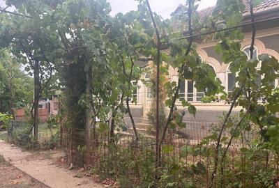 Casa recent renovata, 2023 mp teren, comuna Leu , RATE !!! - 3