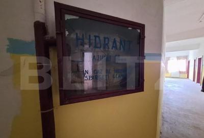 Proprietate de cazare, spatii comerciale, Lugoj - 5