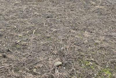 Teren de 1050 mp, în Valea Călugărească - 3