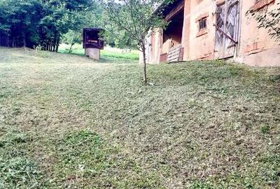 Casă cu 3 camere cu Teren 3800 Mp în Dobrin