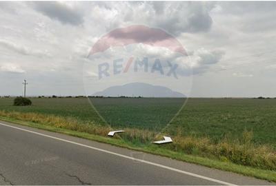 Teren agricol extravilan de 8401 mp, în Exterior Nord
