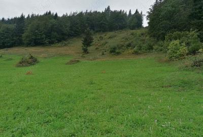 Inima Transilvaniei - 8