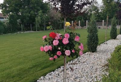 Casă cu 4 camere în Ulmi - 12