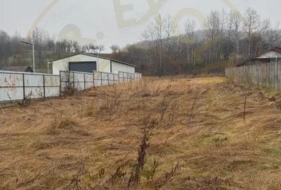 Teren de 1758 mp, în Drăganu - 3