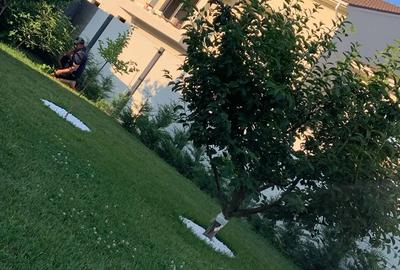 Casa individuala moderna - parter - Mosnita Noua,cartier Europa - 1