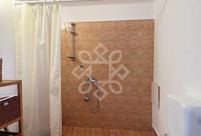 Casa cu teren 2052 mp in Saldabagiu de Munte - 12