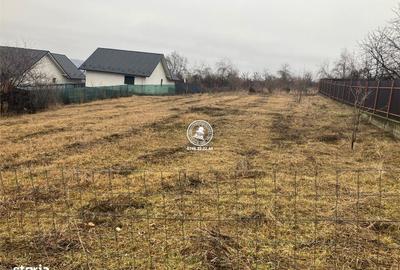 Teren de 902 mp, în Tomești